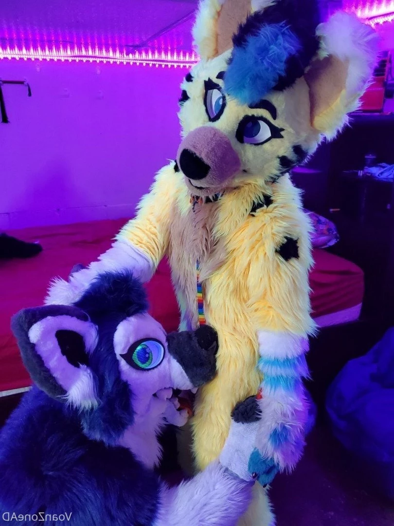 Naughty Folf💙 [ voan_zonead ] Onlyfans leaked photo 2599106 on Hotleaks.tv