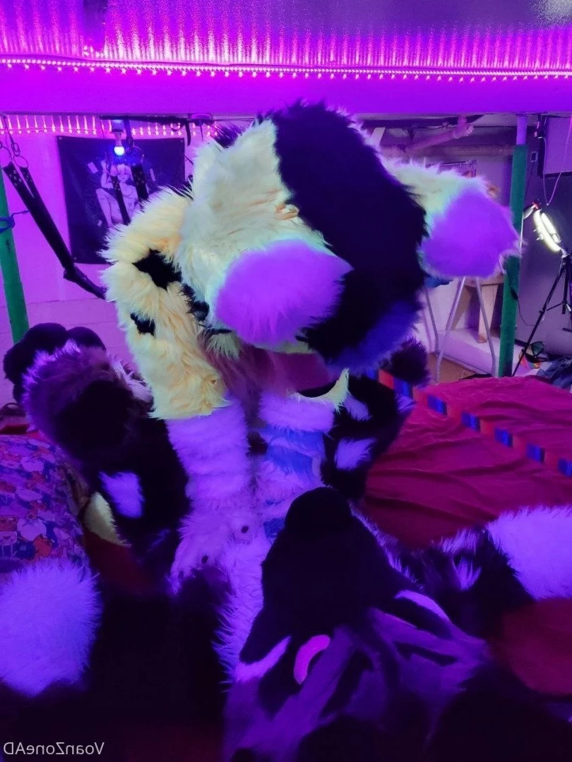 Naughty Folf💙 [ voan_zonead ] Onlyfans leaked photo 2599121 on Hotleaks.tv
