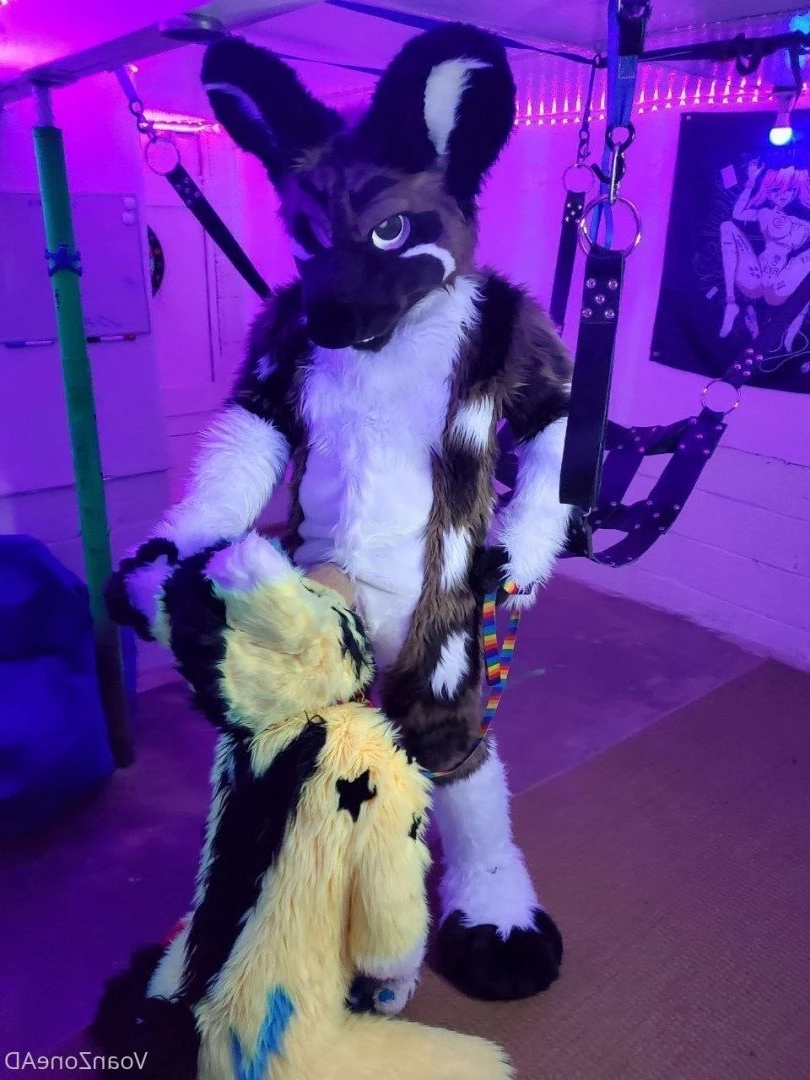 Naughty Folf💙 [ voan_zonead ] Onlyfans leaked photo 2599148 on Hotleaks.tv