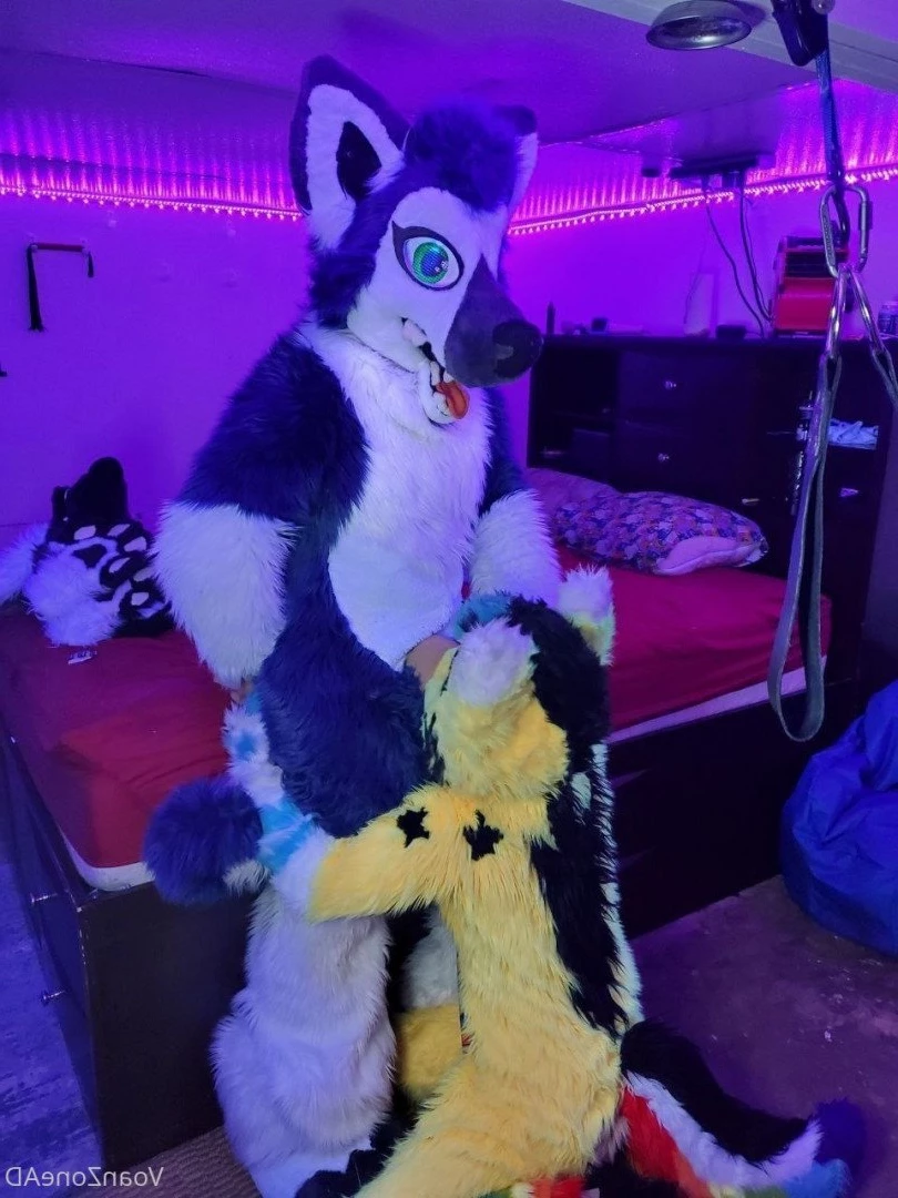 Naughty Folf💙 [ voan_zonead ] Onlyfans leaked photo 2599157 on Hotleaks.tv