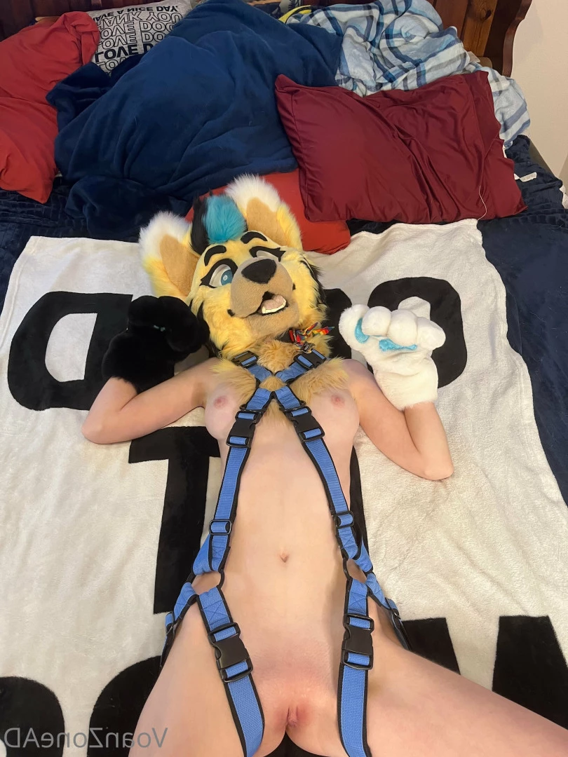Naughty Folf💙 [ voan_zonead ] Onlyfans leaked photo 7742363 on Hotleaks.tv