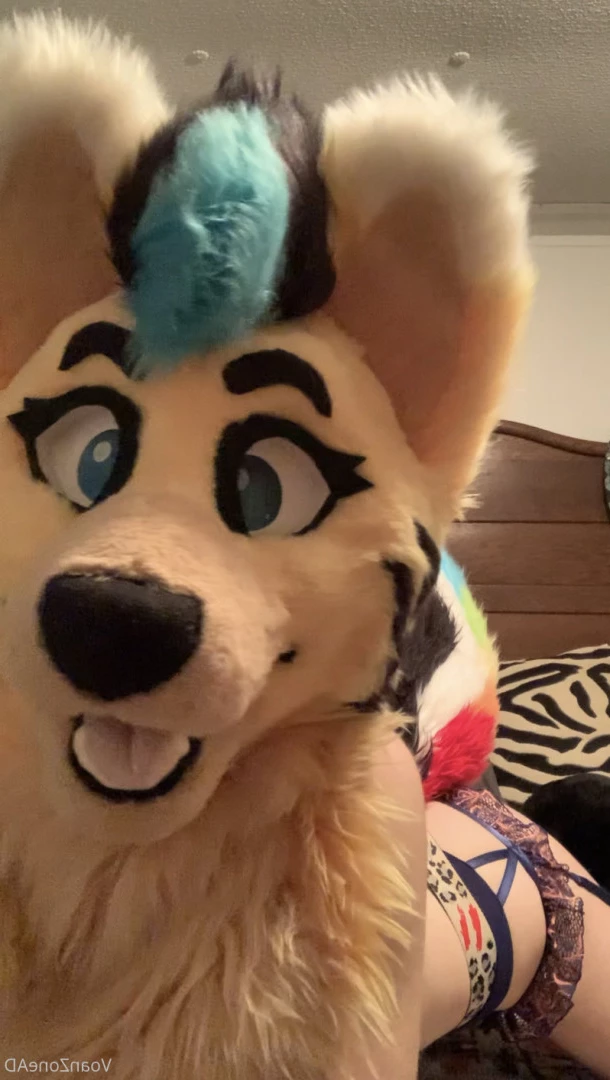 Naughty Folf💙 [ voan_zonead ] Onlyfans leaked photo 7742395 on Hotleaks.tv