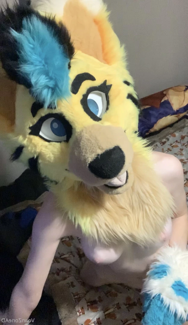 Naughty Folf💙 [ voan_zonead ] Onlyfans leaked photo 7742418 on Hotleaks.tv