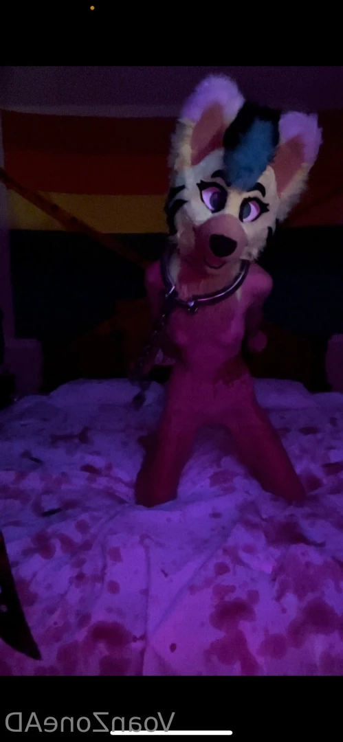 Naughty Folf💙 [ voan_zonead ] Onlyfans leaked photo 7742507 on Hotleaks.tv