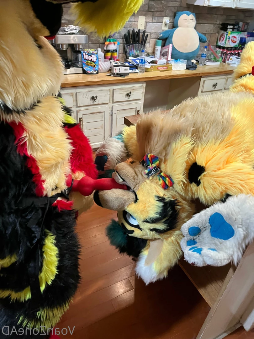 Naughty Folf💙 [ voan_zonead ] Onlyfans leaked photo 7742525 on Hotleaks.tv