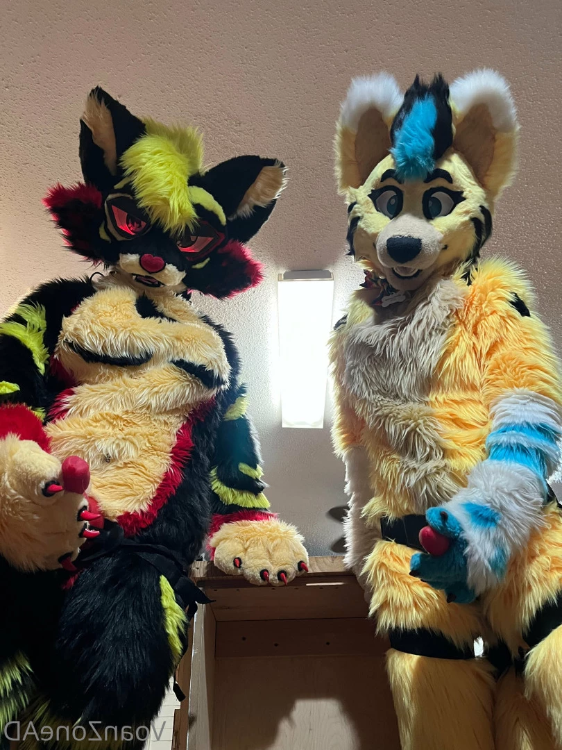 Naughty Folf💙 [ voan_zonead ] Onlyfans leaked photo 7742553 on Hotleaks.tv