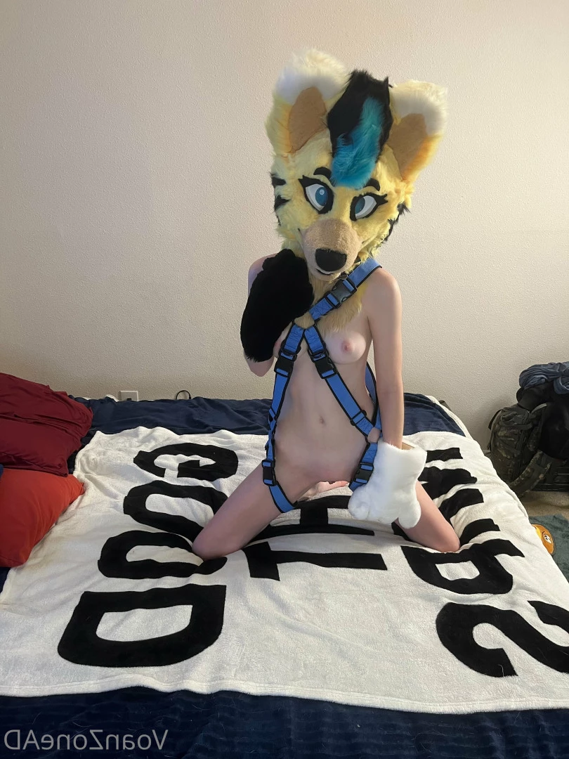 Naughty Folf💙 [ voan_zonead ] Onlyfans leaked photo 7742559 on Hotleaks.tv