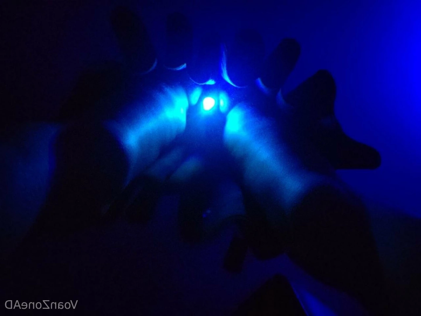Naughty Folf💙 [ voan_zonead ] Onlyfans leaked photo 7742740 on Hotleaks.tv