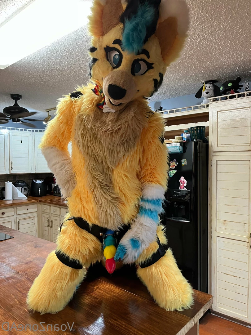 Naughty Folf💙 [ voan_zonead ] Onlyfans leaked photo 7742791 on Hotleaks.tv
