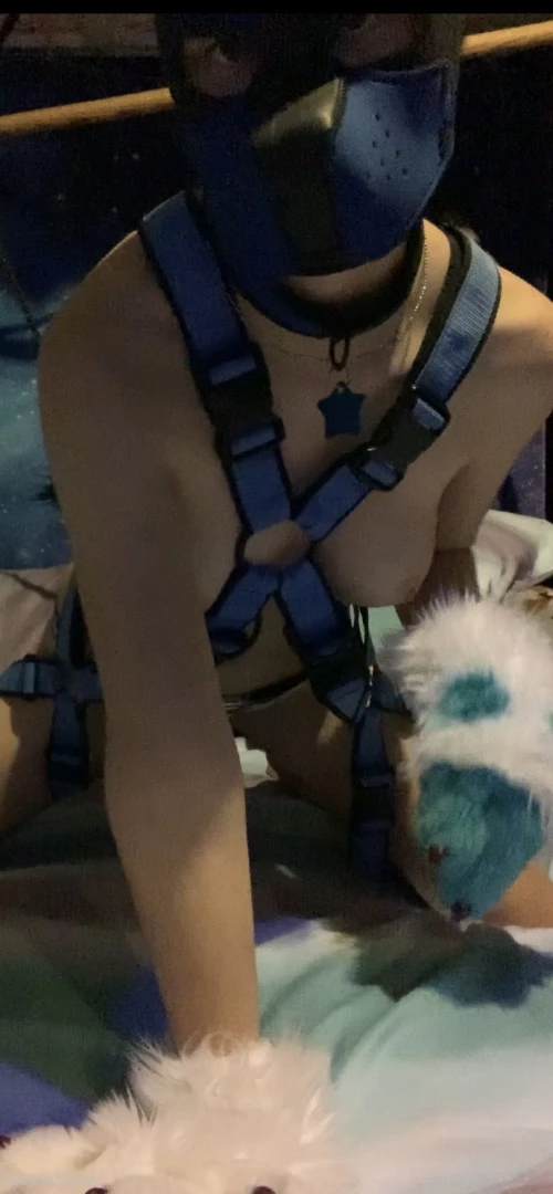 Naughty Folf💙 [ voan_zonead ] Onlyfans leaked photo 7742869 on Hotleaks.tv