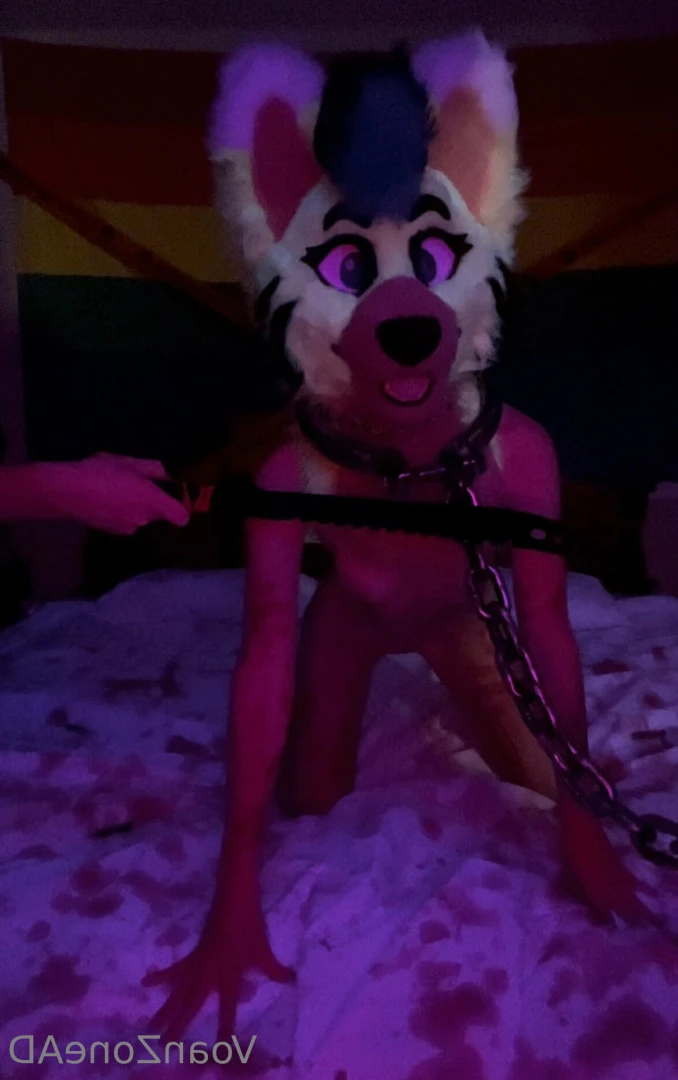 Naughty Folf💙 [ voan_zonead ] Onlyfans leaked photo 7742932 on Hotleaks.tv