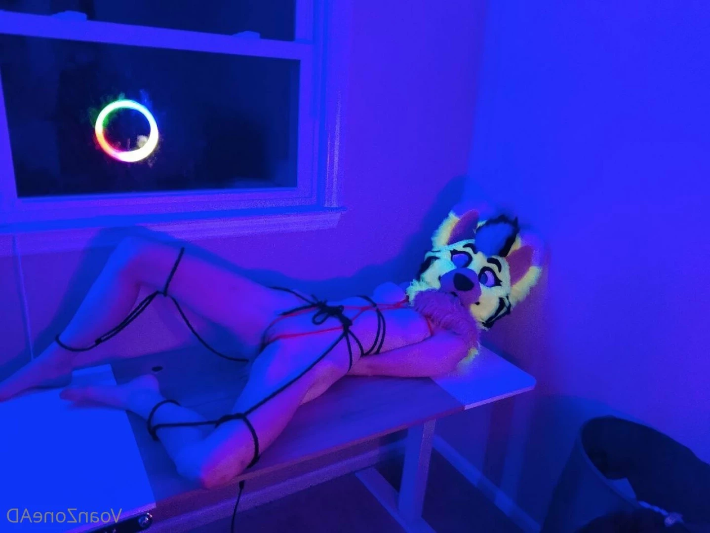Naughty Folf💙 [ voan_zonead ] Onlyfans leaked photo 7742963 on Hotleaks.tv