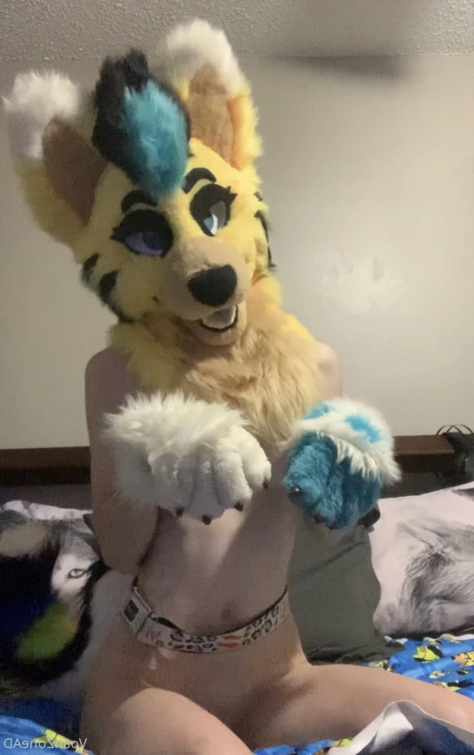 Naughty Folf💙 [ voan_zonead ] Onlyfans leaked photo 7742966 on Hotleaks.tv