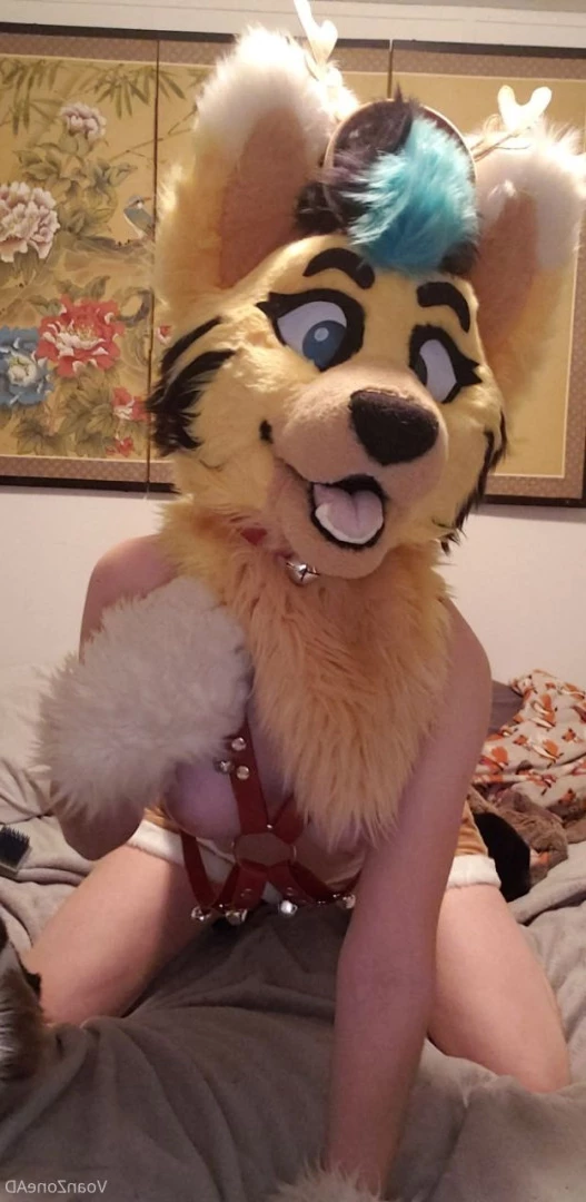 Naughty Folf💙 [ voan_zonead ] Onlyfans leaked photo 7742989 on Hotleaks.tv
