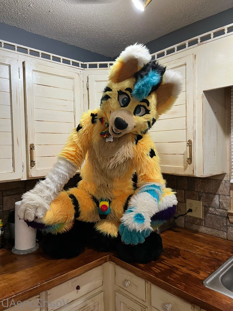 Naughty Folf💙 [ voan_zonead ] Onlyfans leaked photo 7742994 on Hotleaks.tv