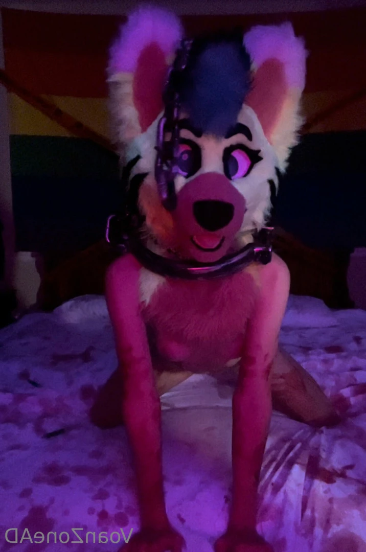 Naughty Folf💙 [ voan_zonead ] Onlyfans leaked photo 7743115 on Hotleaks.tv