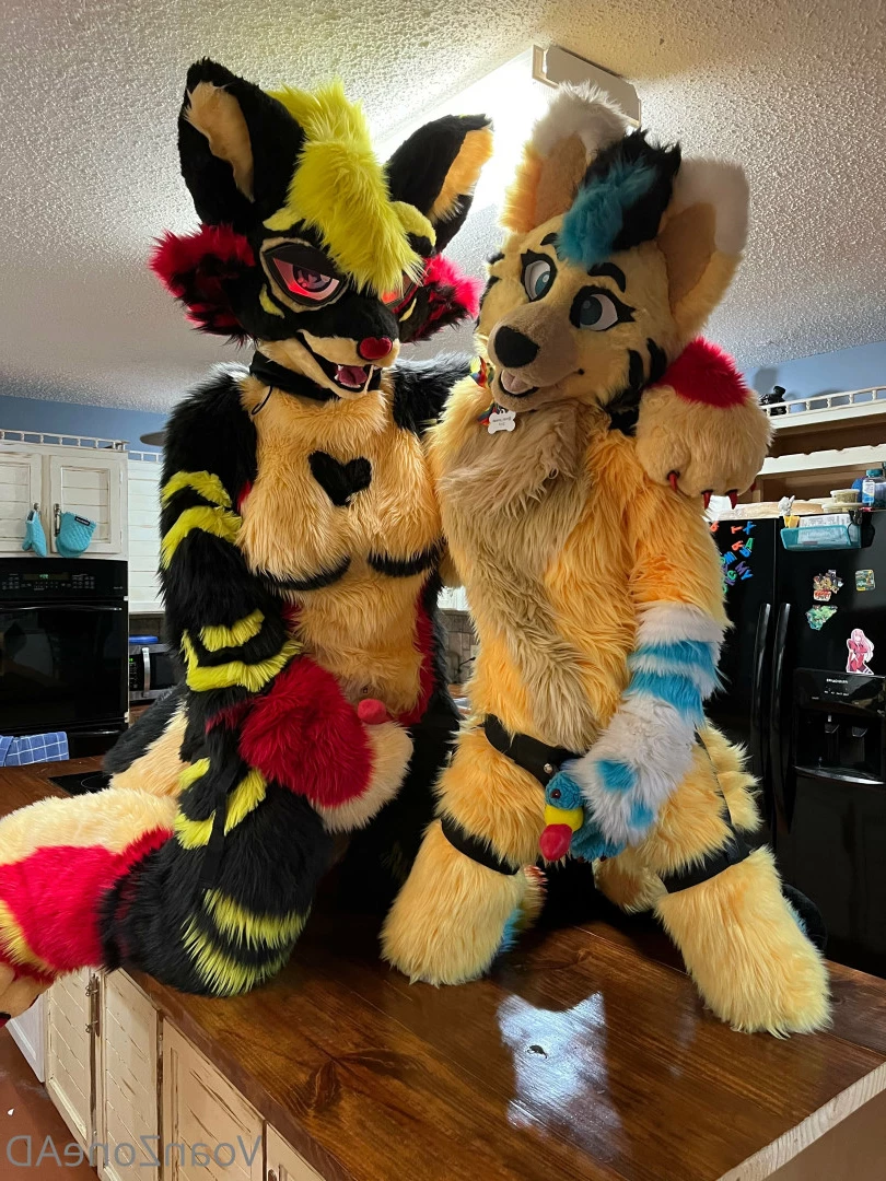 Naughty Folf💙 [ voan_zonead ] Onlyfans leaked photo 7743158 on Hotleaks.tv