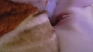 7772763