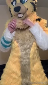 7772803