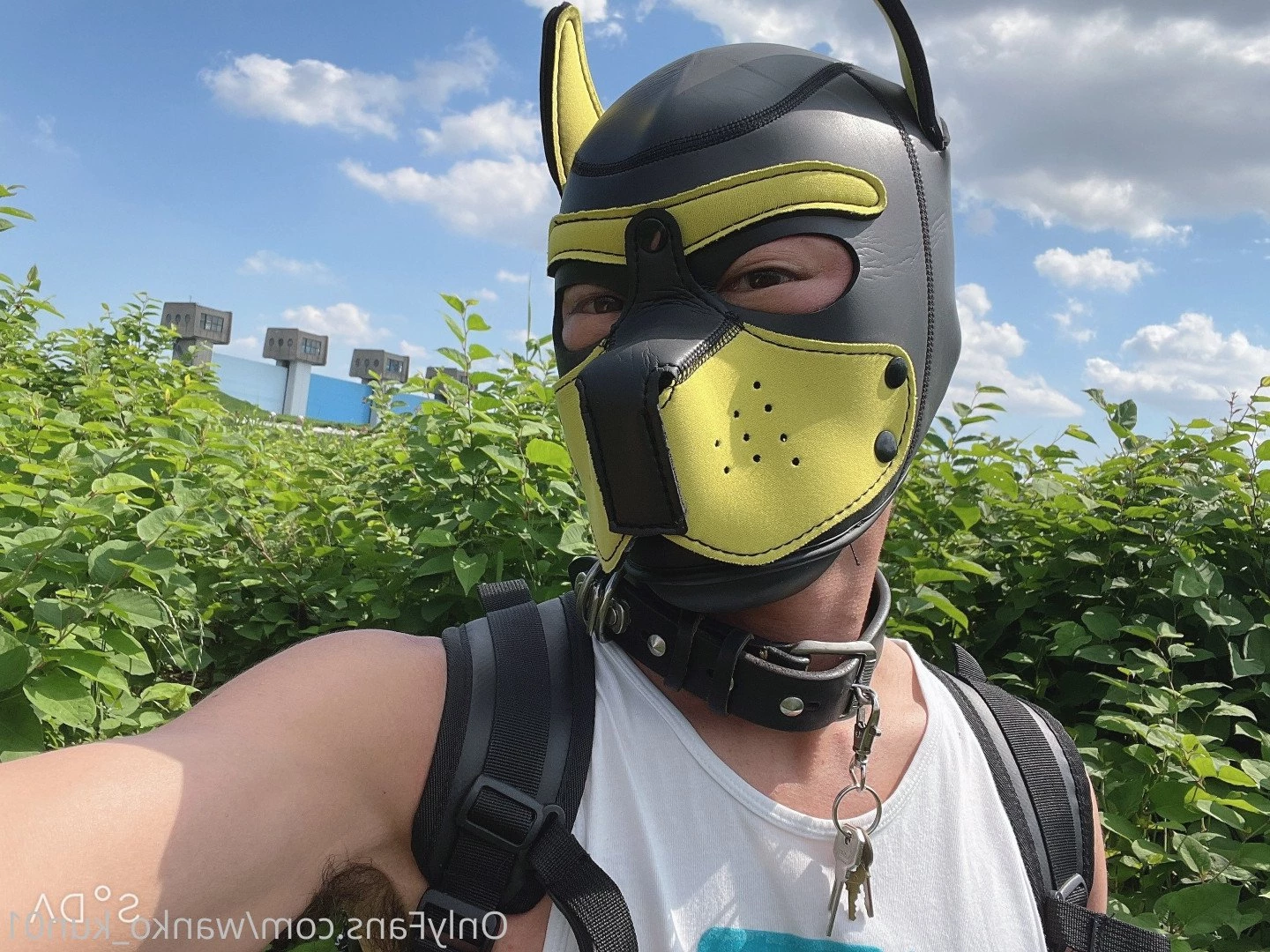 闇堕ちワンコくん [ wanko_kun01 ] Onlyfans leaked photo 2598271 on Hotleaks.tv