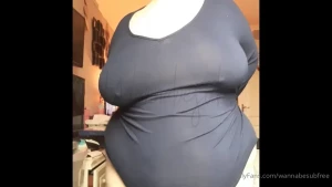 12728664