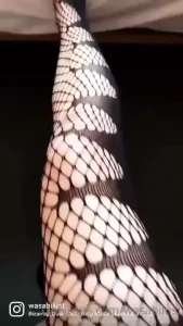 18277262