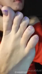 18277263