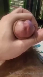 18277210