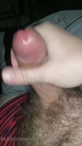 4617369