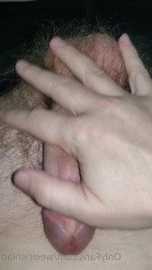 4617373