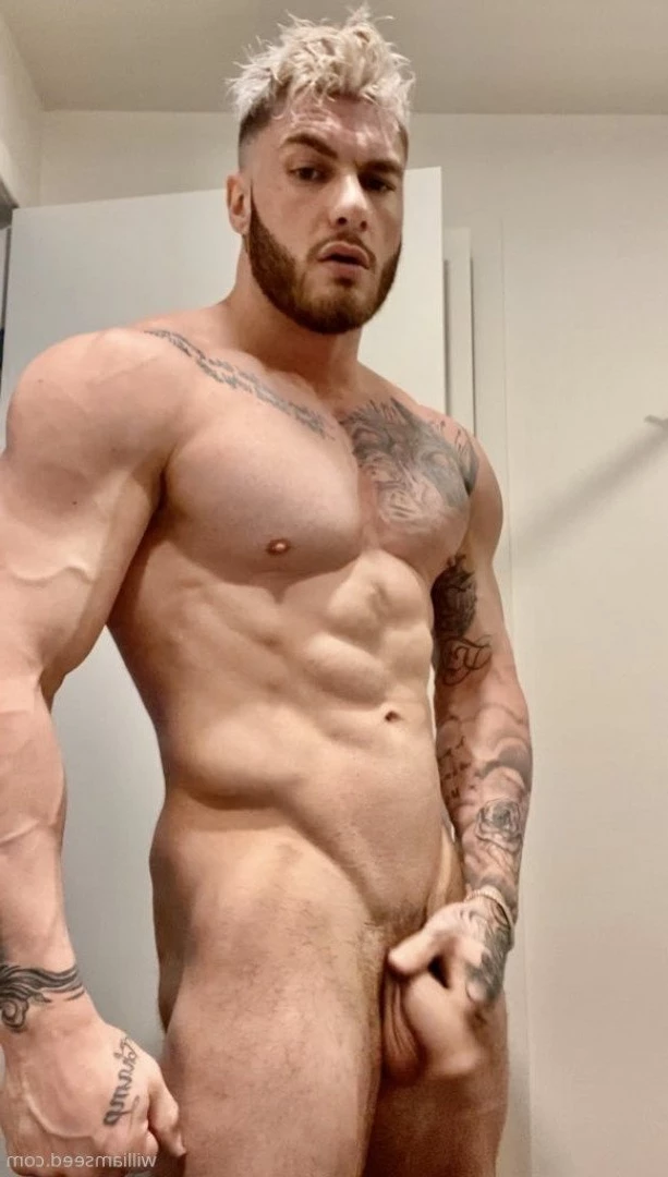 William Seed [ william_seedxxx ] Onlyfans leaked photo 2593555 on Hotleaks.tv