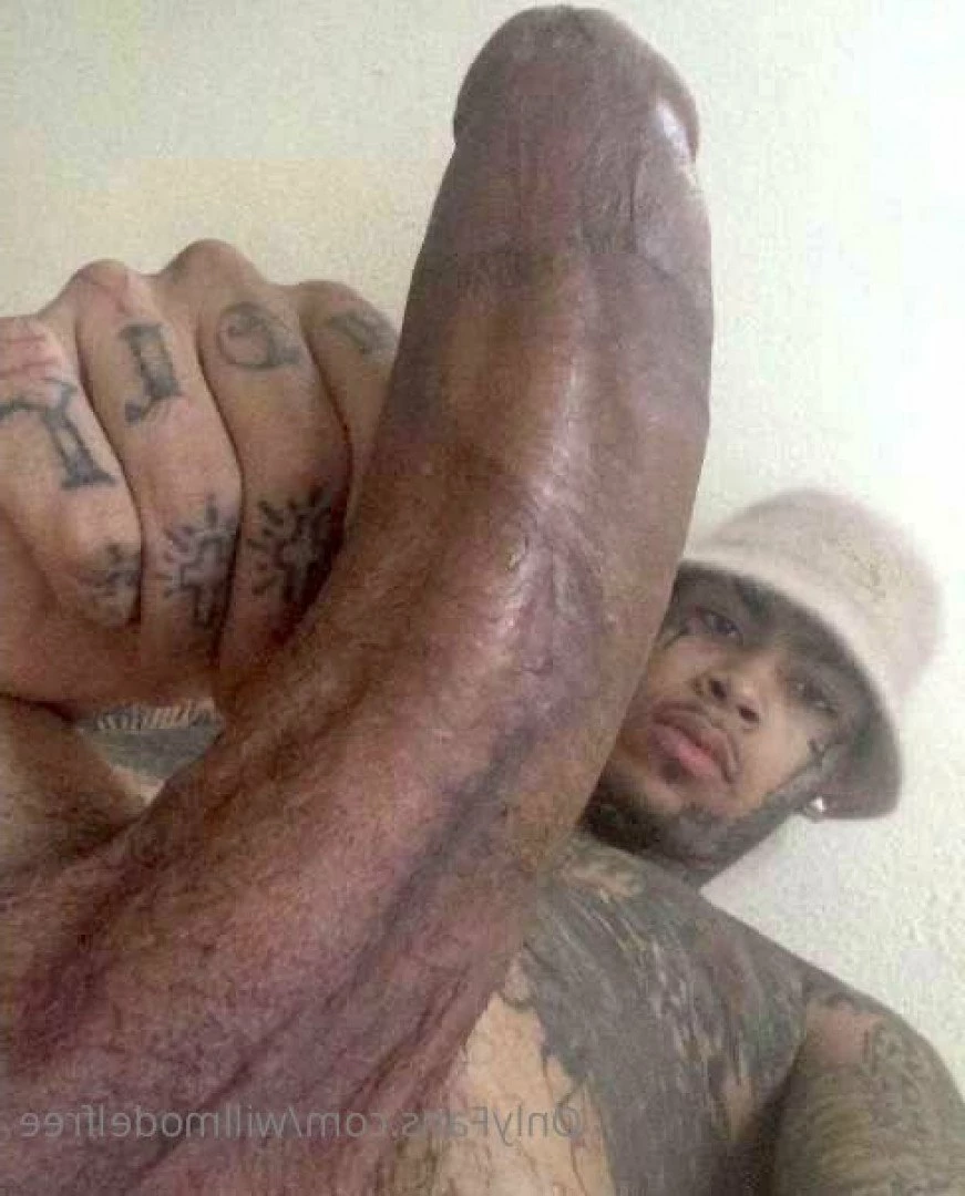 William Model Free [ willmodelfree ] Onlyfans leaked photo 2579123 on Hotleaks.tv