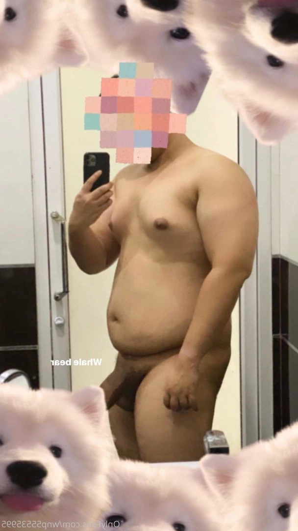 Whale Bear [ wnp55535995 ] Onlyfans leaked photo 9410226 on Hotleaks.tv