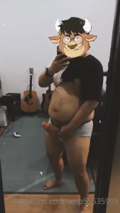 10588619