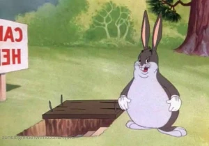 2588389
