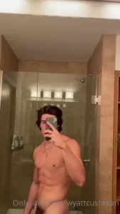 18277118