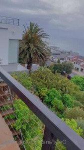 Xoli M [ xoli_mfeka ] Onlyfans leaked video 4641564 on Hotleaks.tv
