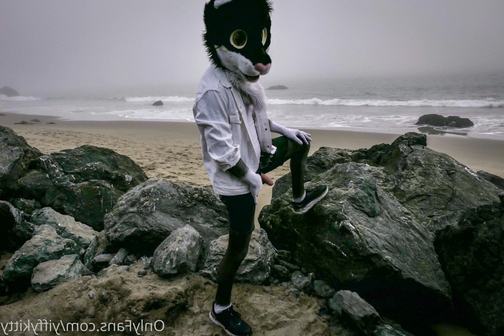 Jamie Sharp [ yiffykitty ] Onlyfans leaked photo 2581153 on Hotleaks.tv
