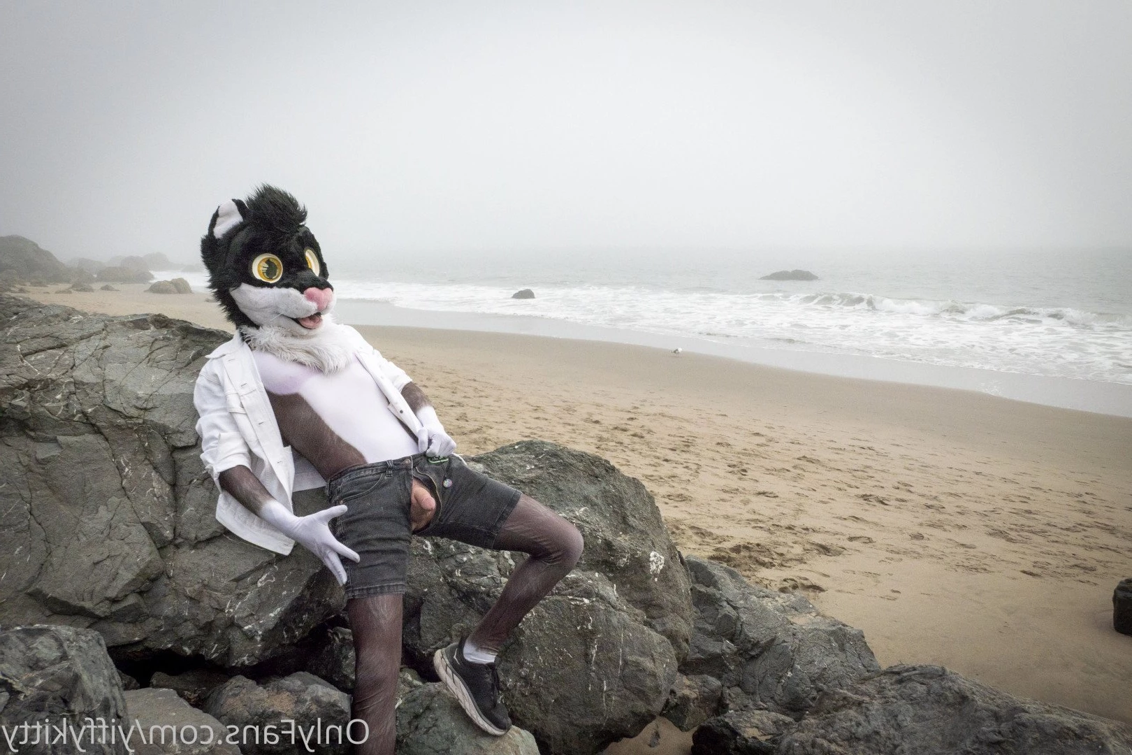 Jamie Sharp [ yiffykitty ] Onlyfans leaked photo 2581232 on Hotleaks.tv