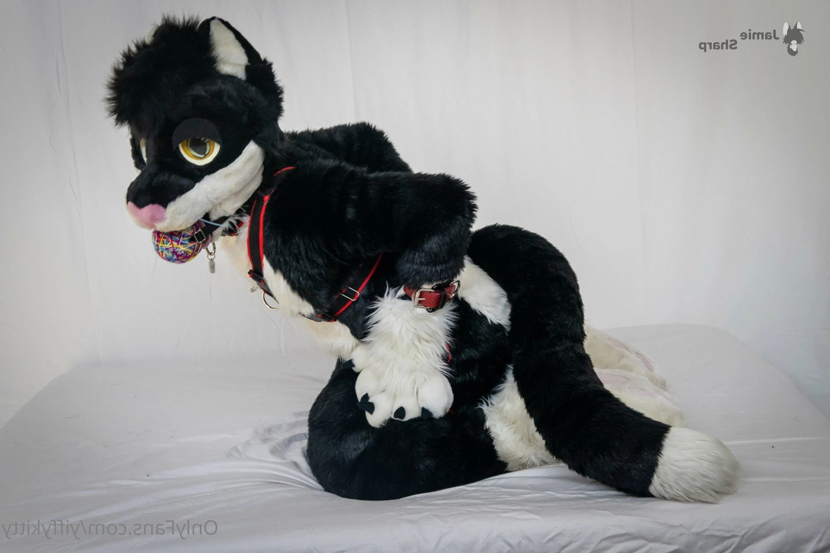Jamie Sharp [ yiffykitty ] Onlyfans leaked photo 2581317 on Hotleaks.tv