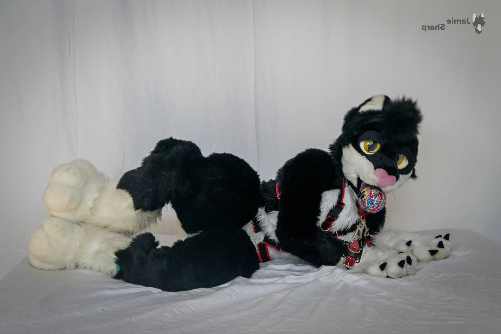 Jamie Sharp [ yiffykitty ] Onlyfans leaked photo 2581374 on Hotleaks.tv