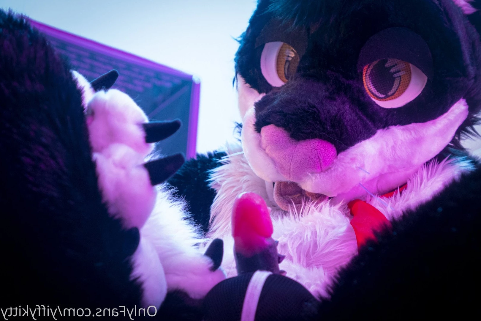 Jamie Sharp [ yiffykitty ] Onlyfans leaked photo 2581415 on Hotleaks.tv