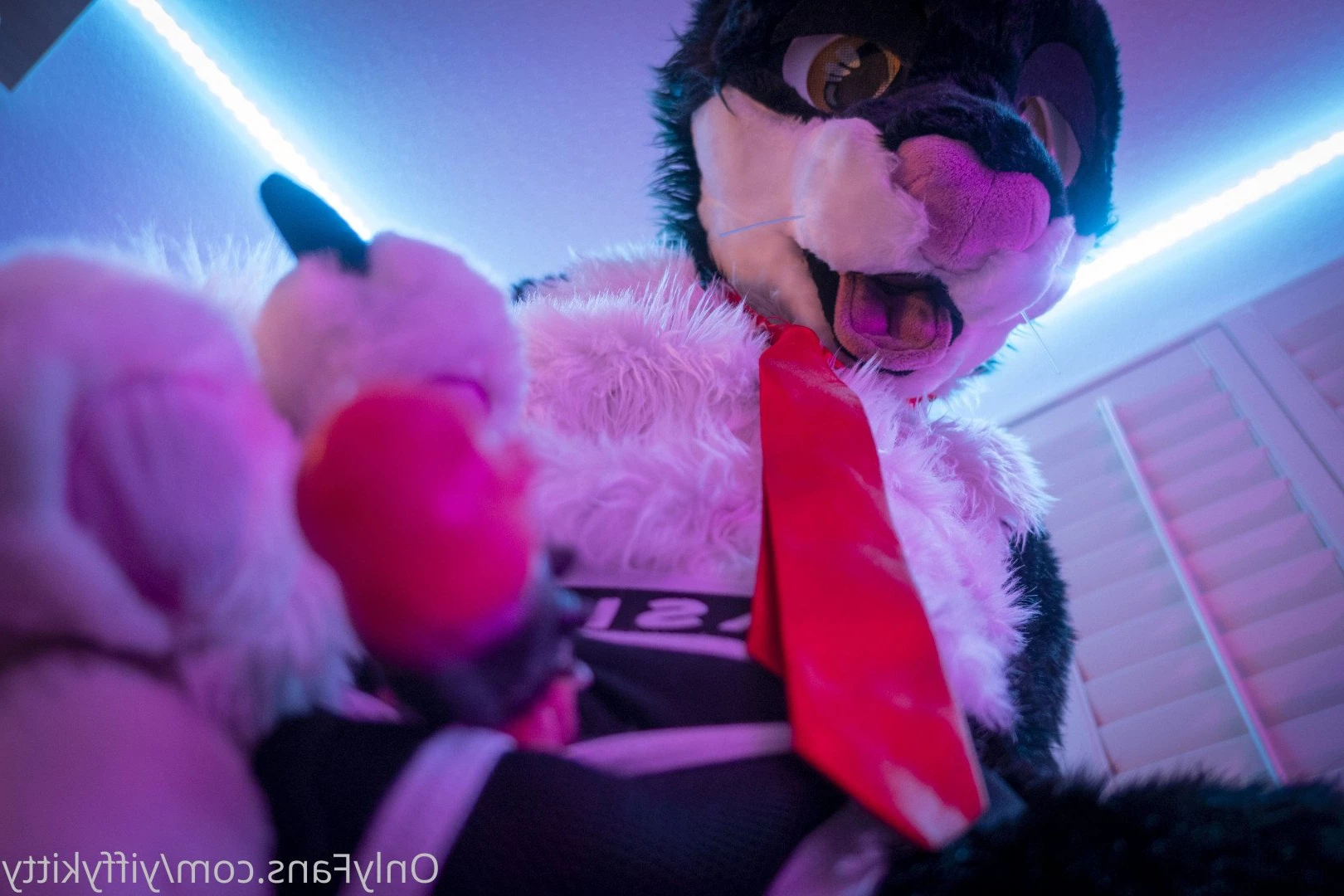 Jamie Sharp [ yiffykitty ] Onlyfans leaked photo 2581570 on Hotleaks.tv