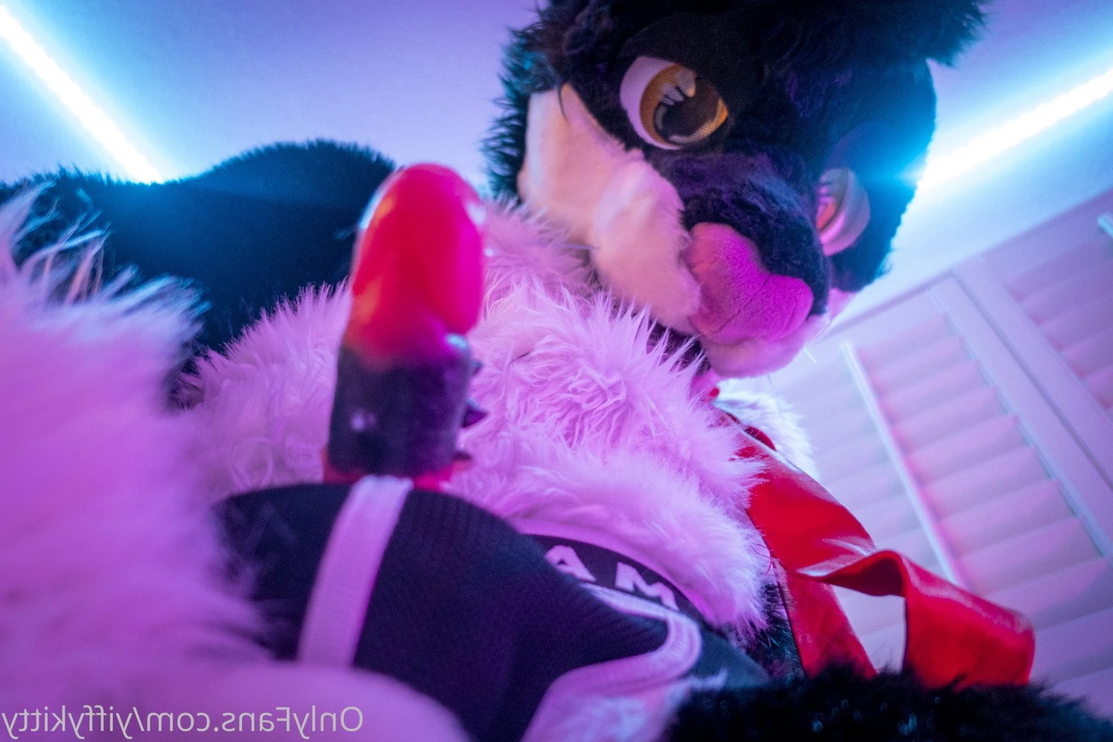 Jamie Sharp [ yiffykitty ] Onlyfans leaked photo 2581609 on Hotleaks.tv
