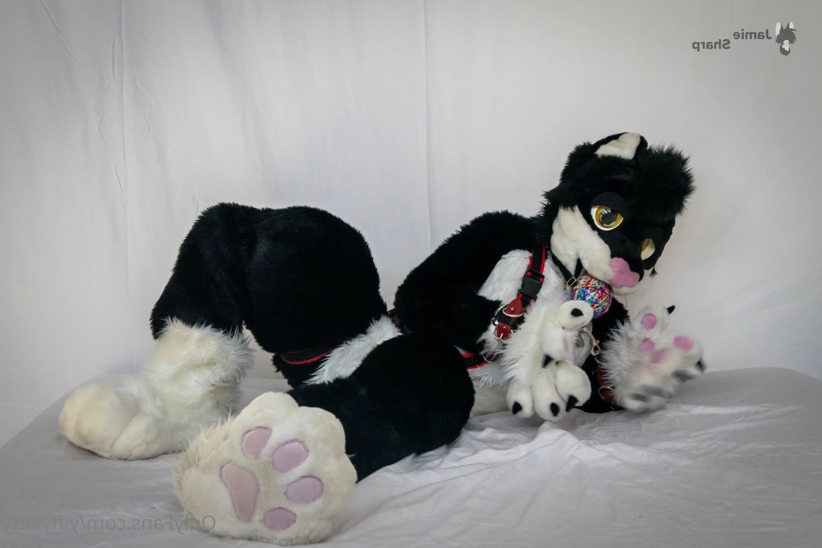 Jamie Sharp [ yiffykitty ] Onlyfans leaked photo 2581676 on Hotleaks.tv