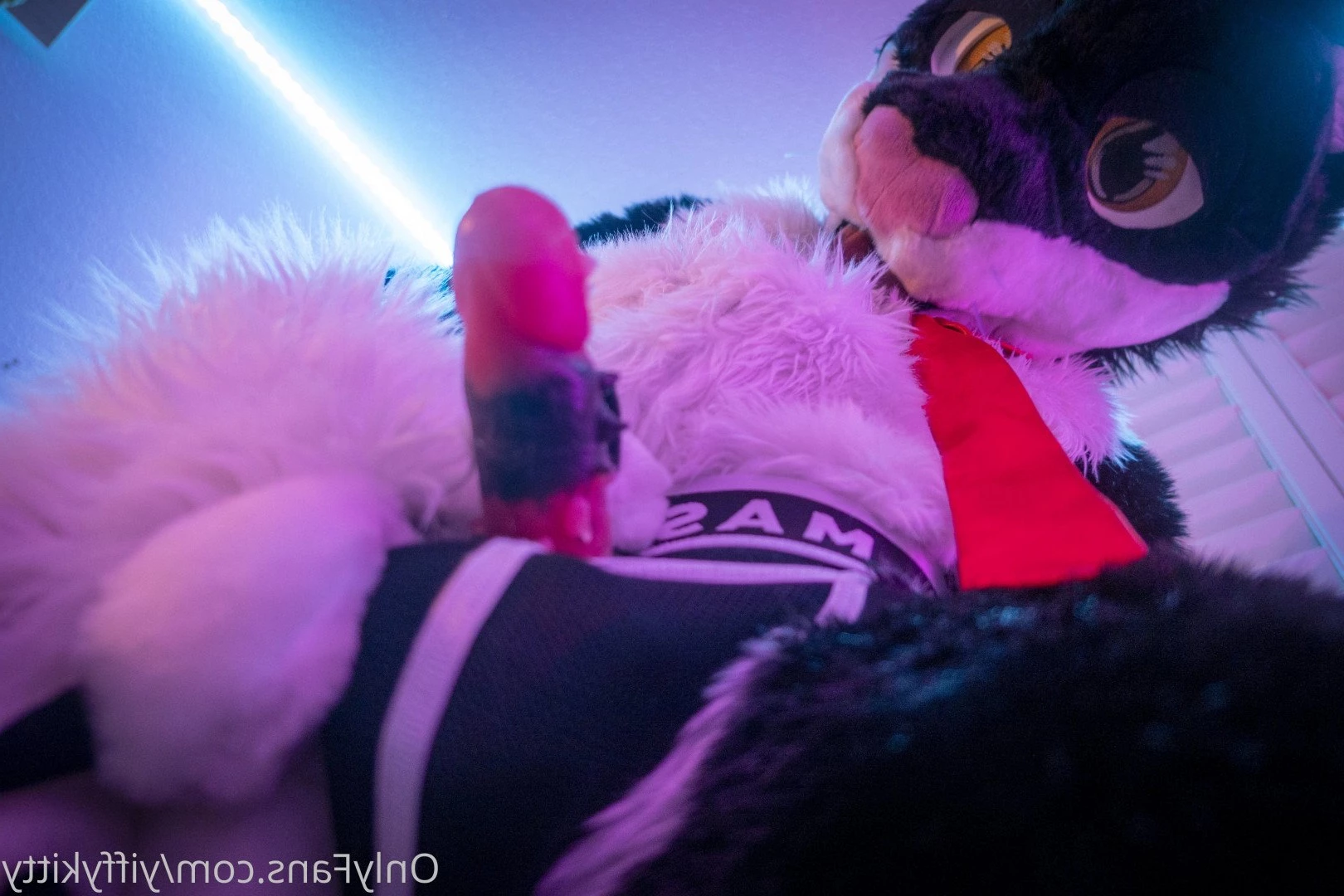 Jamie Sharp [ yiffykitty ] Onlyfans leaked photo 2581707 on Hotleaks.tv