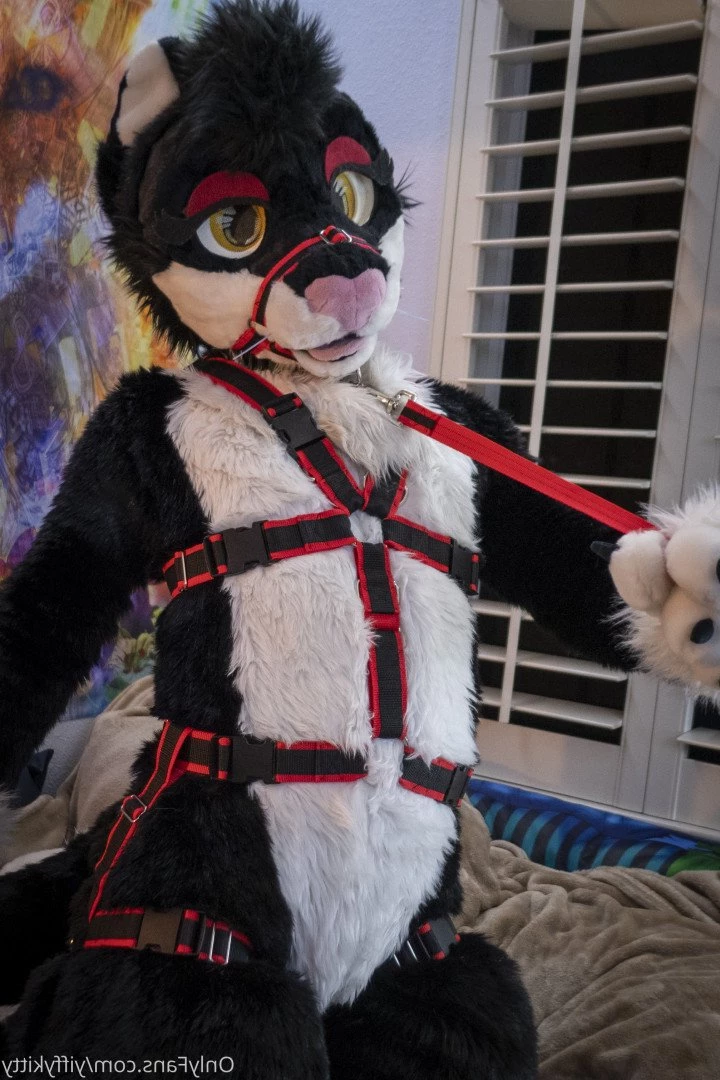 Jamie Sharp [ yiffykitty ] Onlyfans leaked photo 2581799 on Hotleaks.tv