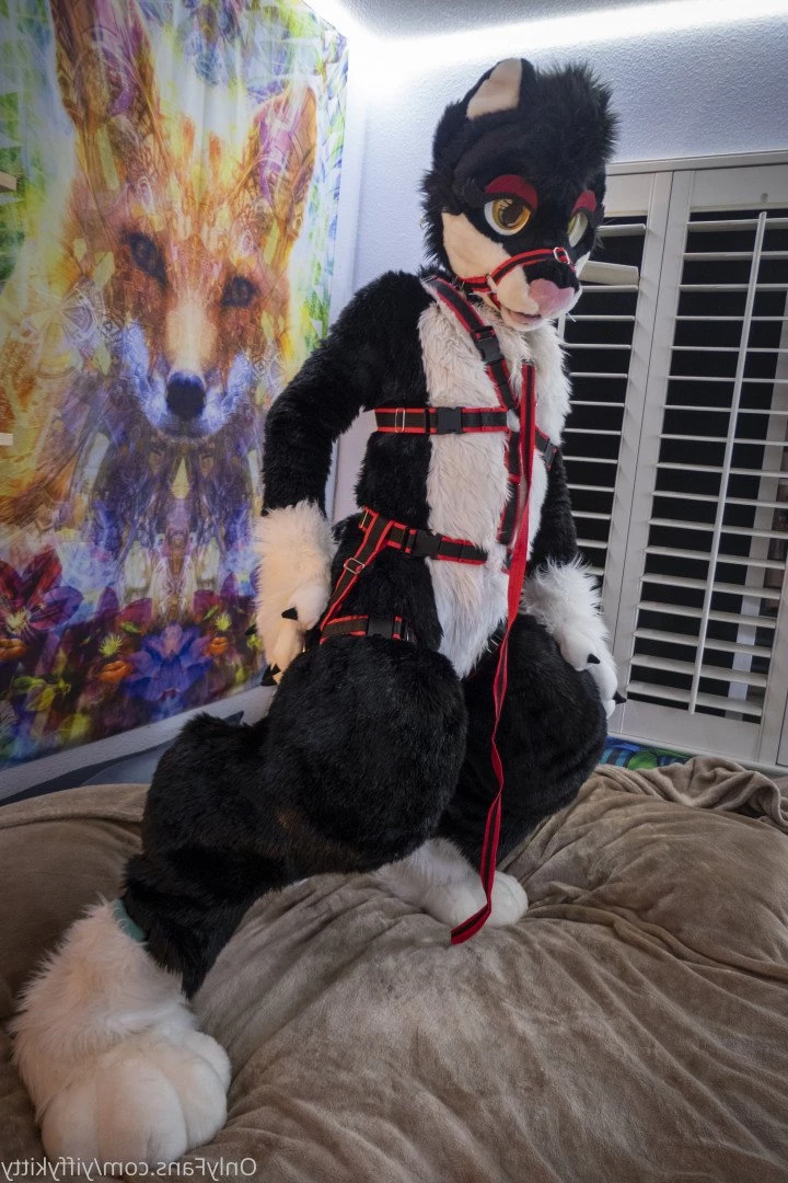 Jamie Sharp [ yiffykitty ] Onlyfans leaked photo 2581820 on Hotleaks.tv