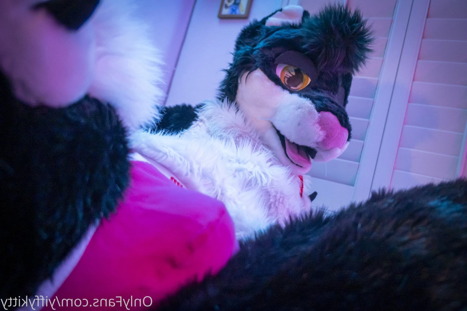 Jamie Sharp [ yiffykitty ] Onlyfans leaked photo 2581926 on Hotleaks.tv