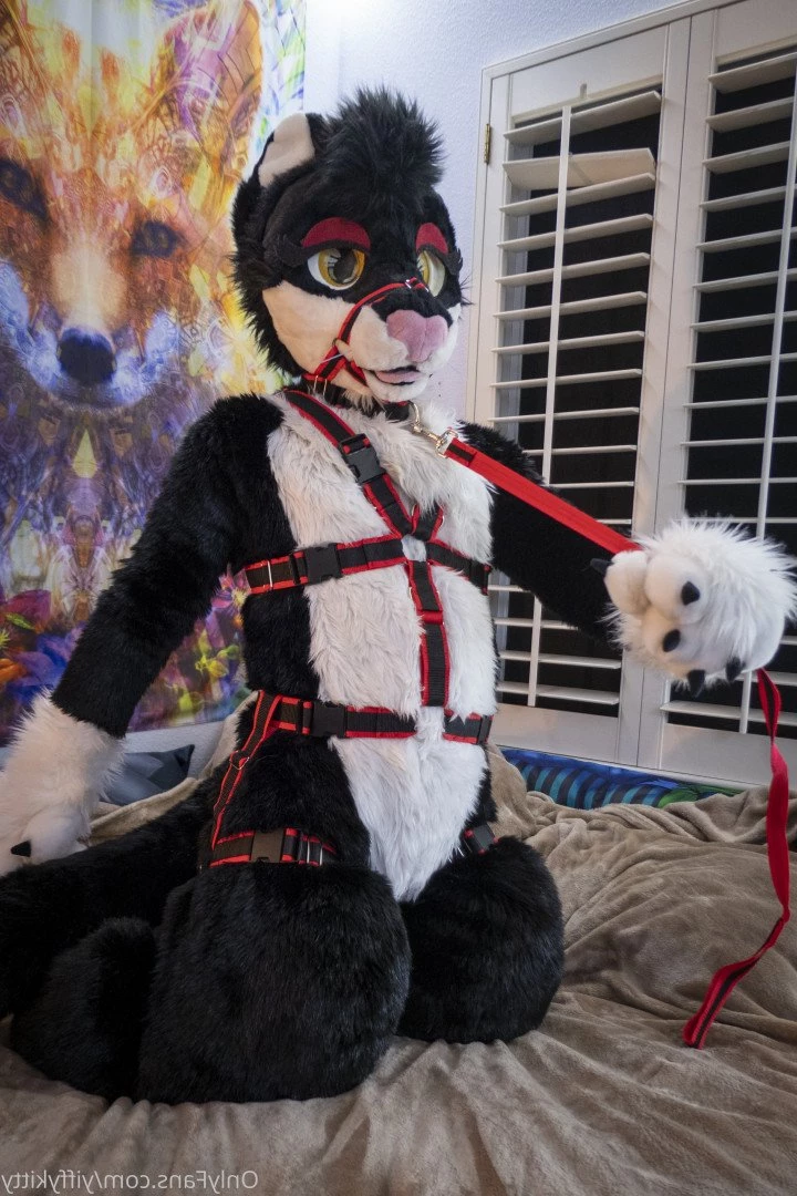 Jamie Sharp [ yiffykitty ] Onlyfans leaked photo 2581939 on Hotleaks.tv